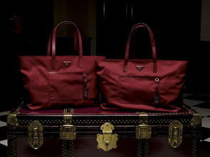 化石箱包 品质与时尚的完美结合